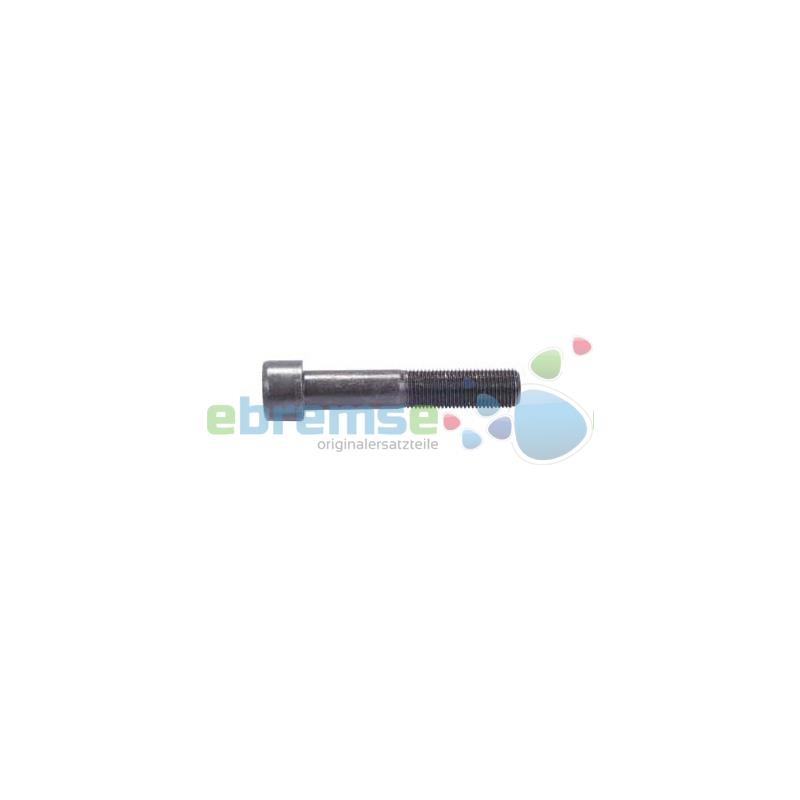 726750 Caliper Pin Bolt - M16 x 1.5 / 80 mm